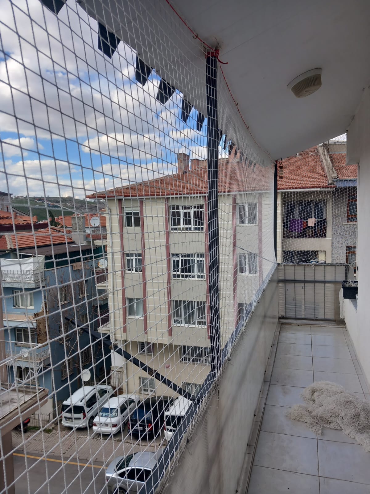 Güvenlik filesi bulunan balkonda huzurlu bir kedi